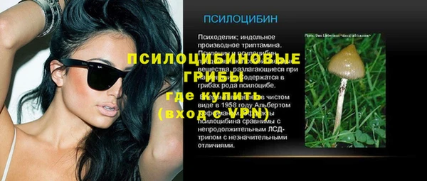 ПСИЛОЦИБИНОВЫЕ ГРИБЫ Баксан