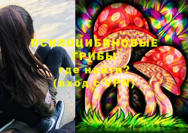 молекула духа Балахна