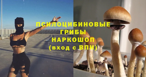ПСИЛОЦИБИНОВЫЕ ГРИБЫ Баксан