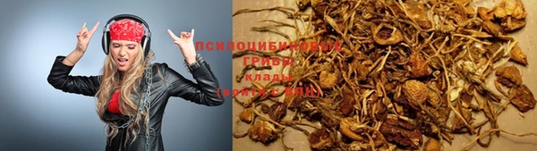 ПСИЛОЦИБИНОВЫЕ ГРИБЫ Баксан